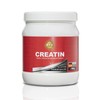 BPV - Creatine Monohydrate 500 g Powder - 100% High
