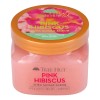 Tree Hut Pink Hibiscus Shea Sugar Scrub