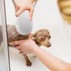 1 Pc Portable Handheld Shower Head and Hose Pet Showerhead
