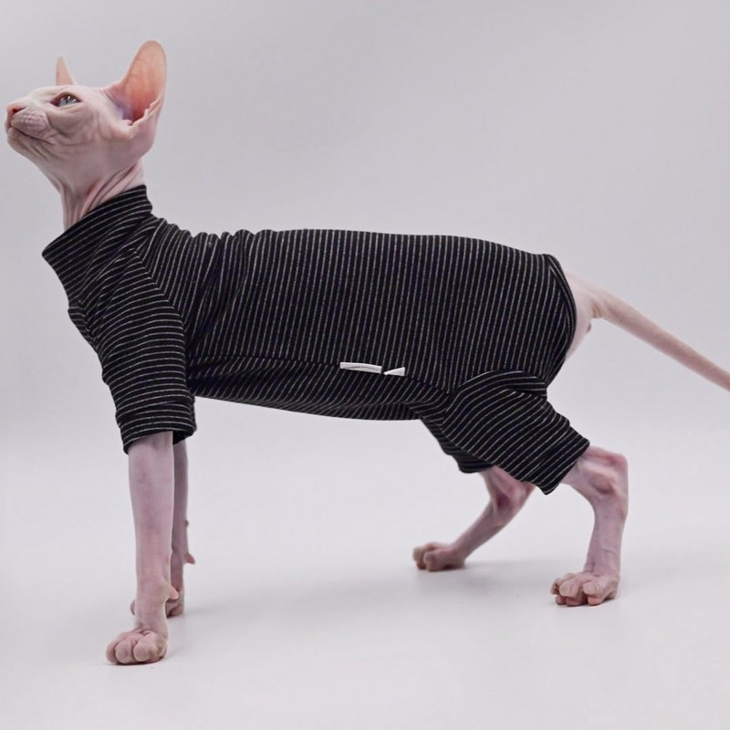 Ropa de gato sin pelo de terciopelo de cuatro patas,