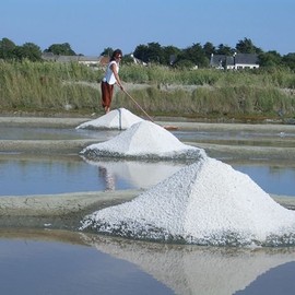 Guerande Salt, Fine Grain Salt, Cell Marin (Fine Grain), Sel de Guerande Sel Marin Moulu, Small Size, 4.4 oz (125 g), Spices, Herbs, Spices, Seasonings