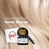Got? Roots - Root Touch Up Hair Color, Brow Filler