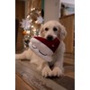 Petface Ivy Ice Skate Plush Dog Toy with Built-In Squeaker