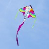 HQ Kites and Designs Simple Flyer Pegasus Kite 47 inch