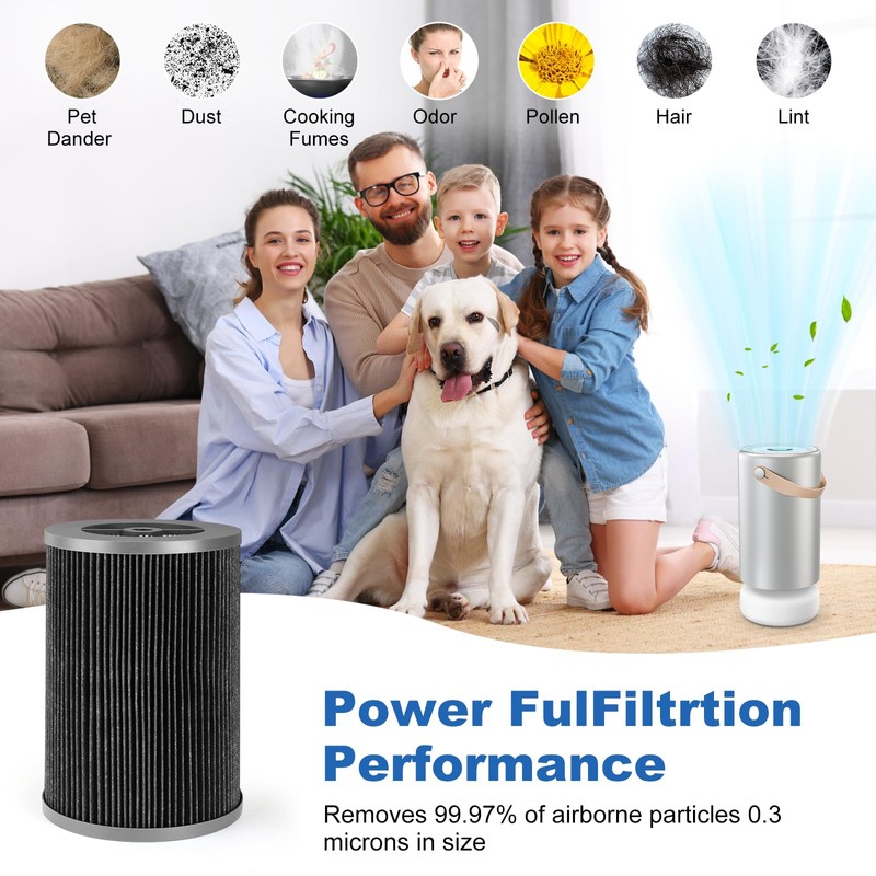 DMLBST Air Pro PECO-HEPA Replacement Filter Compatible with Molekule Air
