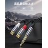 KAYQINHO 6.35mm to 2RCA Cable, 6.35mm 1/4" to 2 RCA