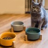 Ceramic Dog Cat Bowl Multipurpose Large Capacity Pet Bowl with