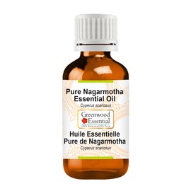 Greenwood Essential Pure Nagarmotha Essential Oil (Cyperus scariosus) Steam Distilled 2ml (0.06 oz)