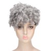 Curly Gray Short Afro Wig Synthetic Hairstyles Grey Black Short