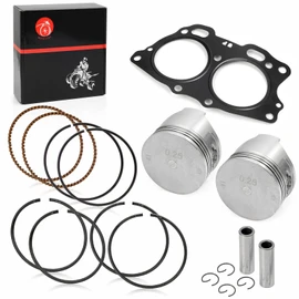 Piston & Ring 0.25mm Oversize Bore ANG Cylinder Head Gasket Compatible with EZGO Fuji Robin 295cc EH29C TXT 4 Cycle Gas Golf Cart MCI Engine 1991-2008 OEM 26607-G01 26608-G0