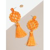 ZENZII Acrylic Resin Tassel Earrings for Women Geometric Modern Pattern