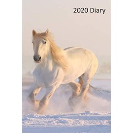 2020 Diary - Week per View: Horse Diary, Planner, Agenda - Gift for Horse Lover