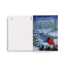 DaySpring - Traditional Christmas Postcard Book with Inspirational Messages - 20 Christmas Postcards (U1002)