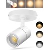 VANoopee 3-Color Zoomable LED Ceiling Spotlight Flush Mount Adjustable Spotlight