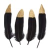 Vidillo Colourful Feathers, Pack of 40 Gold/Silver, Dipped, Natural, Red/Black