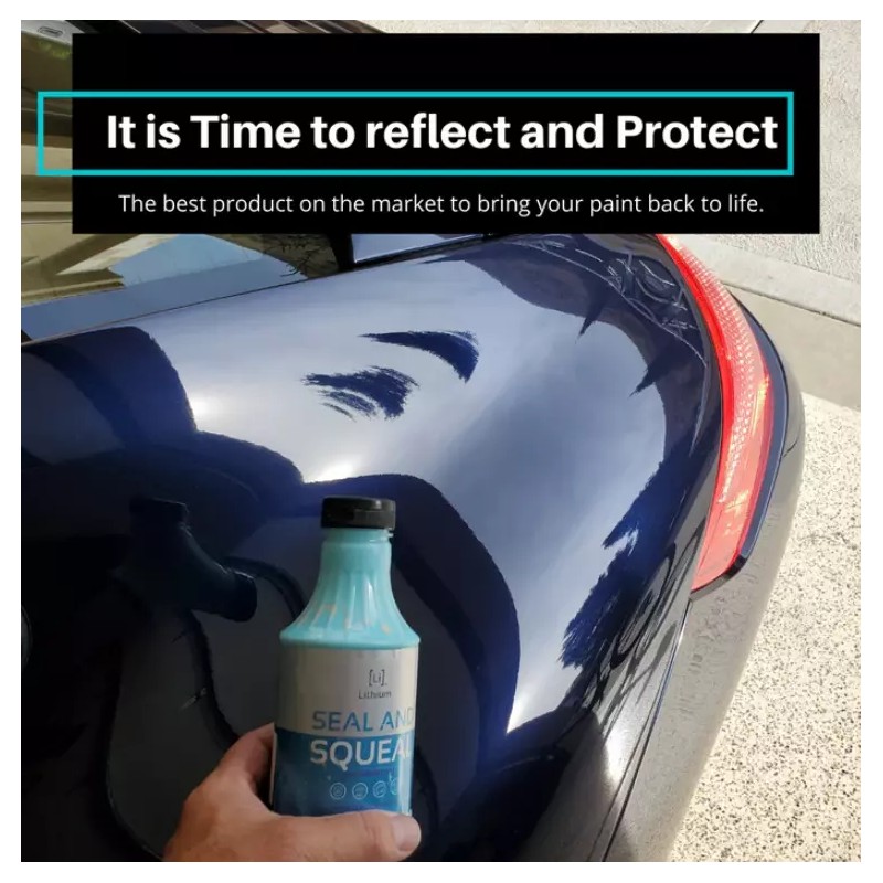 LITHIUM SEAL AND SQUEAL - SEALANT & POLISH