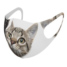 igsticker 002674 Design Mask Set of 2 Polyester Washable Cloth Masks XL Large for Men Animal Cat Animal Photo