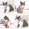 Eyein Cat Harness and Lead Set for Walking, Adjustable Soft