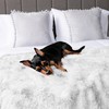 Pavilia White Fluffy Throw Blanket, Fuzzy Plush Warm Blanket for