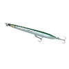 Svendsen 64043 - SG Sandeel Surfwalker 155 17G F Barracud