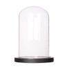 Somush Glass Cloche Bell Jar Display Dome with Black Wooden
