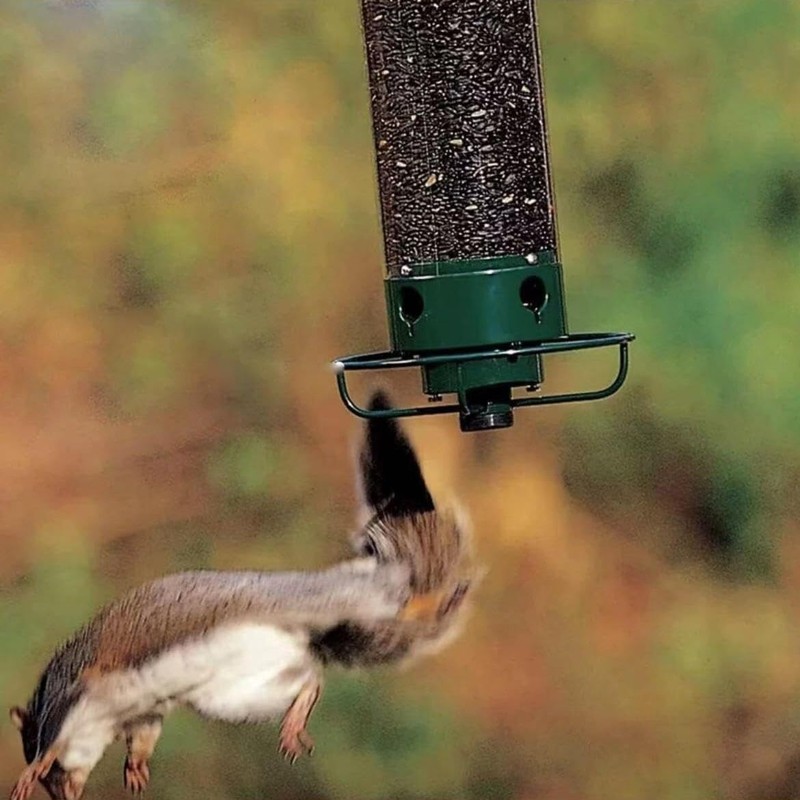 Sobeta Squirrel Bird Feeder - Keeps Birds Happy and Squirrels