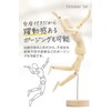 October1st Drawing Doll Model Doll Wooden Doll Pose Mannequin Hand