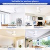 Glowall Small Ceiling Fan with Lights, 32 Inch Flush Mount