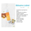 Balsamo Labial Aceite De Coco Argan Karite Hidratante Labios