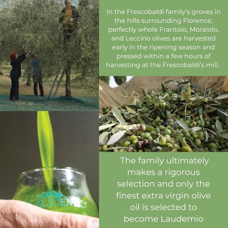 FRESCOBALDI Laudemio Extra Virgin Olive Oil, 16.9 FL Oz, 500ml,
