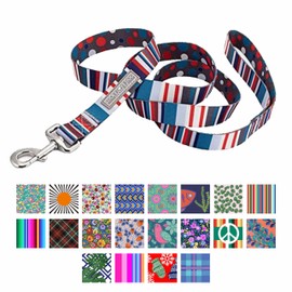 Lucky Love Nautical Polka Dot Blue Red White Striped Leash for Male Female Dogs - Durable & Long Lasting (Large, Linus Leash)