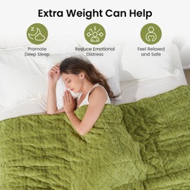 Drewin Weighted Blanket Queen Size 15 lbs, Dual Sided Soft Fuzzy Jacquard Sherpa Bed Blankets with Ceramic Beads, Ultra Fuzzy and Thick Winter Weighted Blanket, 60 x 80 inches, Grass Green