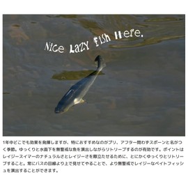 Imakatsu Lazy Swimmer, 3D Realism, IMAKATSU #S-485, 3DR Rainbow Trout, 6.1 inches (15.6 cm)