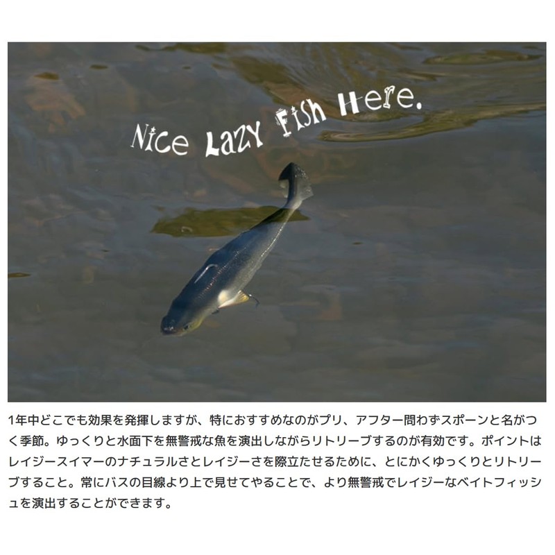 Imakatsu Lazy Swimmer, 3D Realism, IMAKATSU #S-485, 3DR Rainbow Trout,