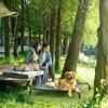 EHEYCIGA Elevated XL Dog Cot Bed, Raised Outdoor Dog Hammock