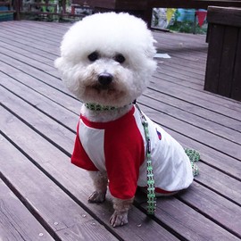 azuza Dog Collar and Leash Set, Fun Patterns, Adjustable Nylon Collar with Matching Leash for Small Medium and Large Dogs