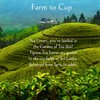 Tipson Organic Turmeric Variety Sampler - 6 Flavors (60 Tea