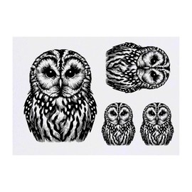 Azeeda 4 x 'Waldkauz' Temporäre Tattoos - Wasserfest, Hautfreundlich & Ungiftig · Transfers in Verschiedenen Größen (TO00080232)