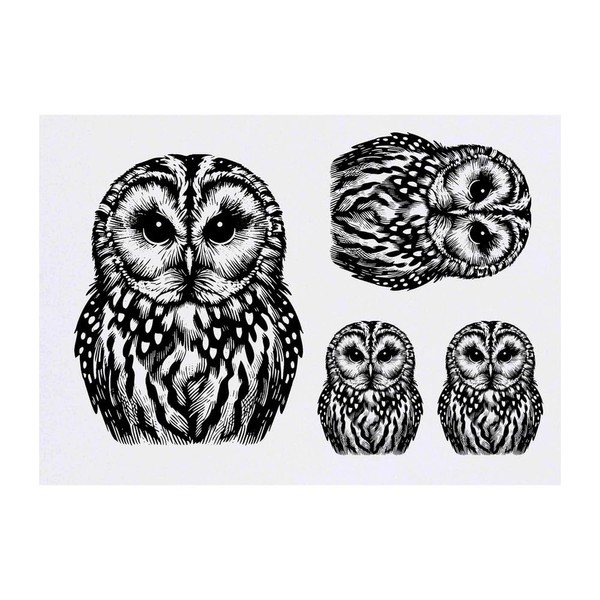 Azeeda 4 x 'Waldkauz' Temporäre Tattoos - Wasserfest, Hautfreundlich &