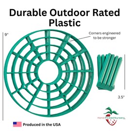 5 June Bearing Strawberry Plants Plus 5 Strawberry Plant Supports - Produced in The USA - Bare Root Strawberry Plants from Hand Picked Nursery (5, Green)