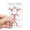 CafePress Circle of Willis Rectangle Bumper Sticker Car Decal