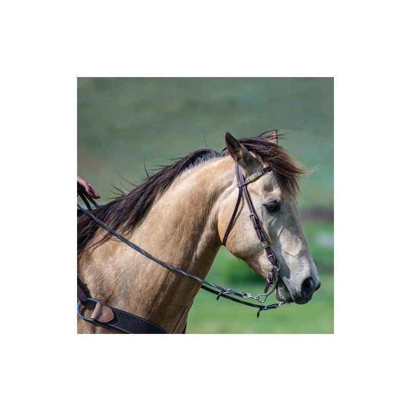 Cashel Rawhide Browband Headstall Double Trim