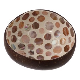 couponhub Coconut Shell Bowl Shell Coconut Cutlery Bowl Home Decoration Storage Bowl Candy Melon Seed Plate Coconut Bowl,Coconut Bowl,Key Bowl,Candy Container,14 * 14 * 5 CM (style 1)