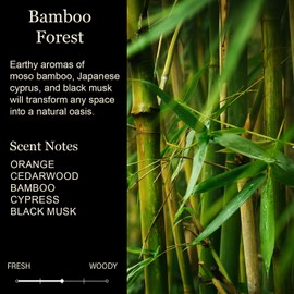 Sister Candle | Best Sister Ever Gifts | Sister Christmas Candle Gifts | Sister Birthday Gift from Sister Brother | Peach + Jasmine + Orange Scented | Funny Candle Gift | Sister in Law | Made in USA