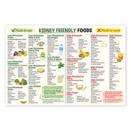 Kidney Friendly Food List Poster, 12x18 Inches Unframe Kidney Disease, Kidney Diet List for Low Potassium Print, Nutrition, Kidney Food Guide Poster