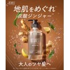 [New Model] BOTANIST ROOTH Aging Care Shampoo Treatment Set Straight