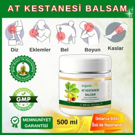 Organicsun At Kestanesi Balsamı Jeli Kas ve Eklem Besleyici Masaj Kremi 500 ML