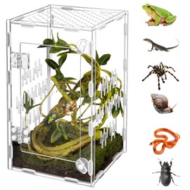 Acrylic Reptile Terrarium Easy Assembly, 360° Clear & Keep Pet Secure Design for Jumping Spiders, Tarantulas, Geckos Scratch-Resistant Large Ventilated Habitat Terrarium for Arachnids 9.8*5.9*5.9in