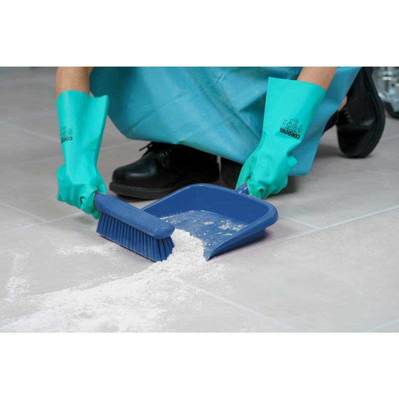 SPARTA Large Handheld Dustpan with Hanging Hole, Heavy-Duty Plastic Dustpan