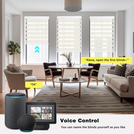 Changshade Automated Blinds for Indoor Windows Doors, Motorized Zebra Shades with Remote Control Light Filtering Custom Size, Work with Alexa, Google Home, Apple Homekit, SmartThings, Beige